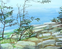 Coastal Study