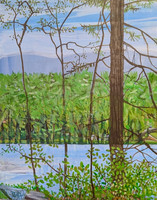 Daicey Pond Study