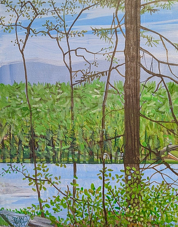 Daicey Pond Study