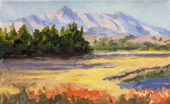 Mt Katahdin Golden Road