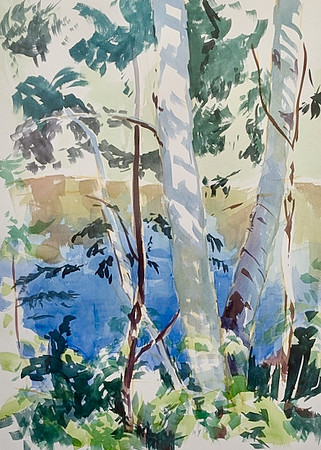 Summer Birches (1)