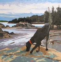 Coastal Hound