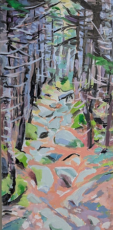Pine Bed Trail (1)