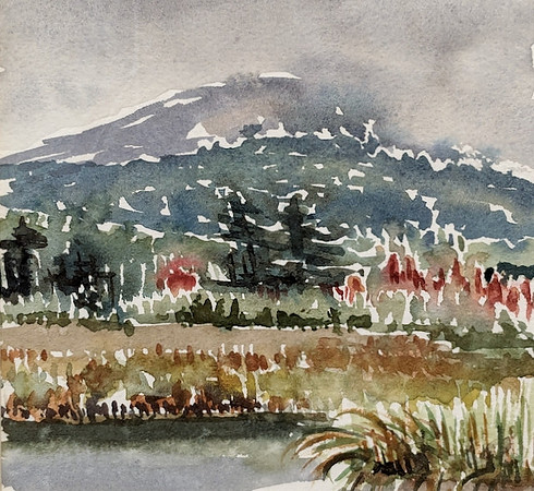 Hillside Golden Road