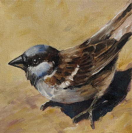 Sparrow
