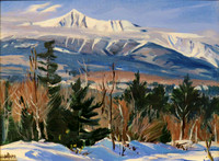 Trailside Katahdin