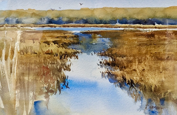 Swamp Reflection