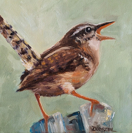 Carolina Wren