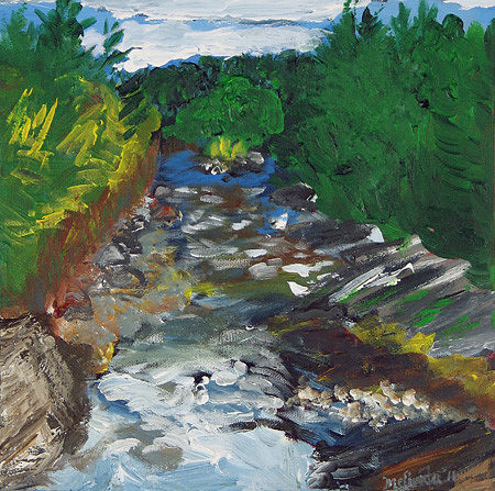 Wassataquoik Stream by Melinda Campbell