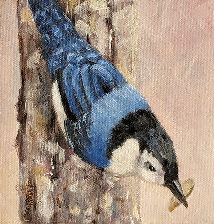 Nuthatch