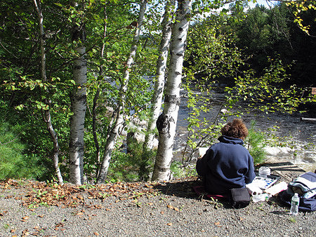 Artist Evelyn Dunphy Painting